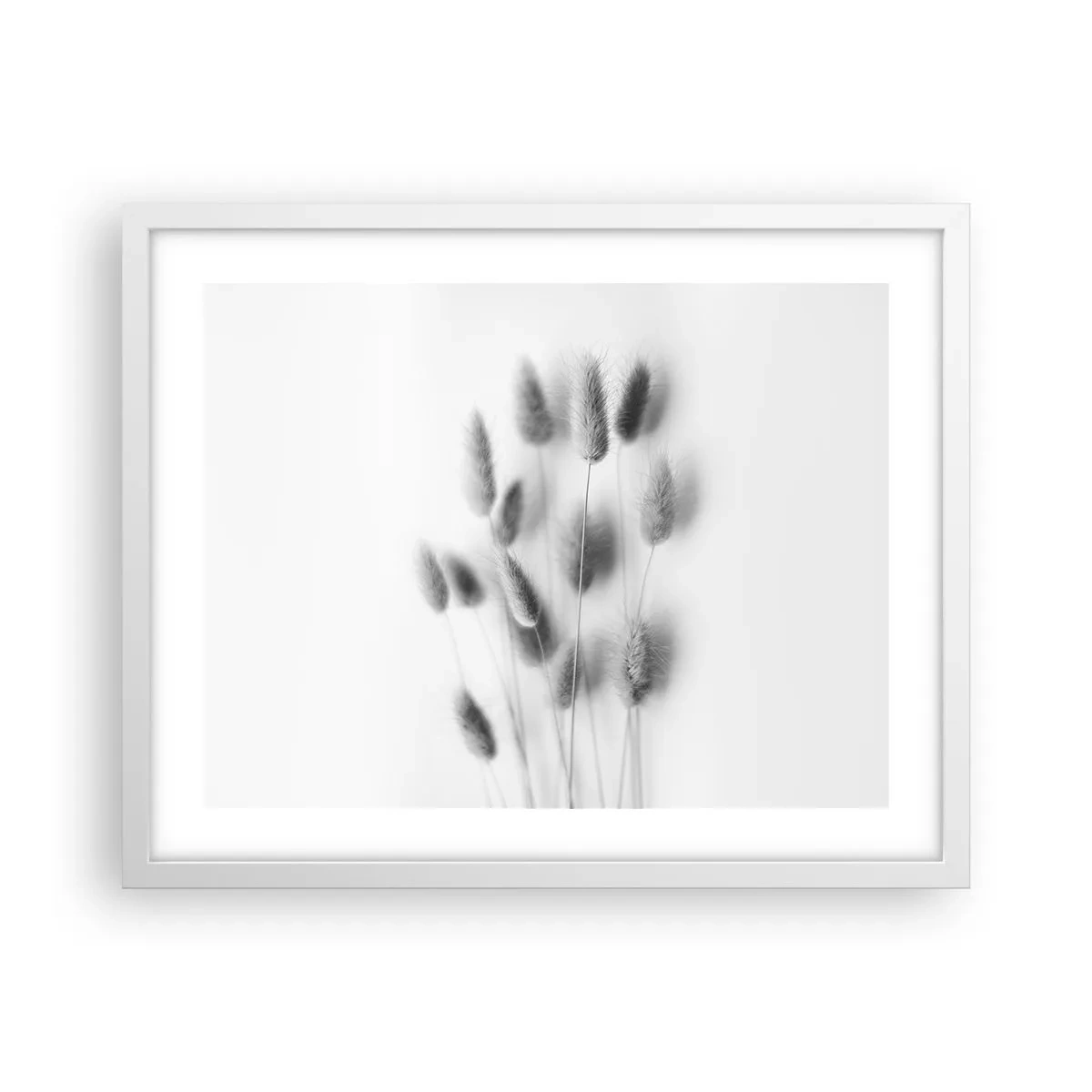 Plagát v bielom ráme - Našuchorená tráva - 50x40 cm