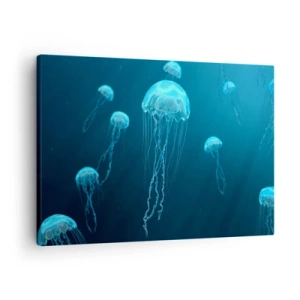 Obraz na plátne - Medúzy plávajúce v hlbinách oceánu v modrých tónoch - 70x50cm - Oceánsky tanec - Moderná nástenná dekorácia do obývacej izby a spálne ARTTOR