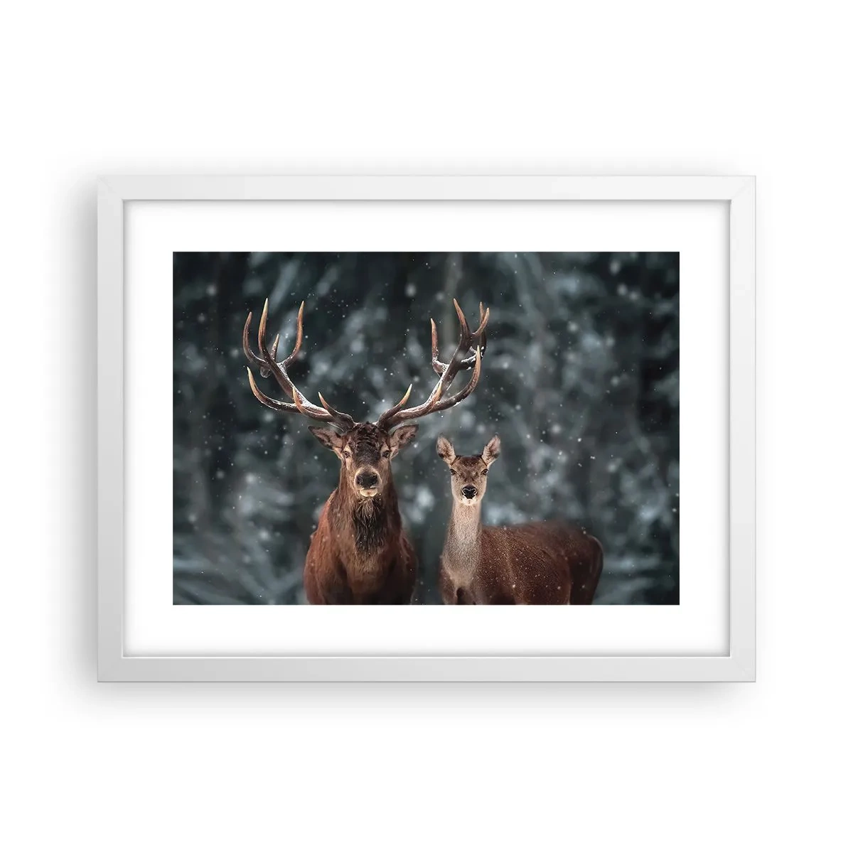 Plagát v bielom ráme - Pán lesa so svojou ženou - 40x30 cm