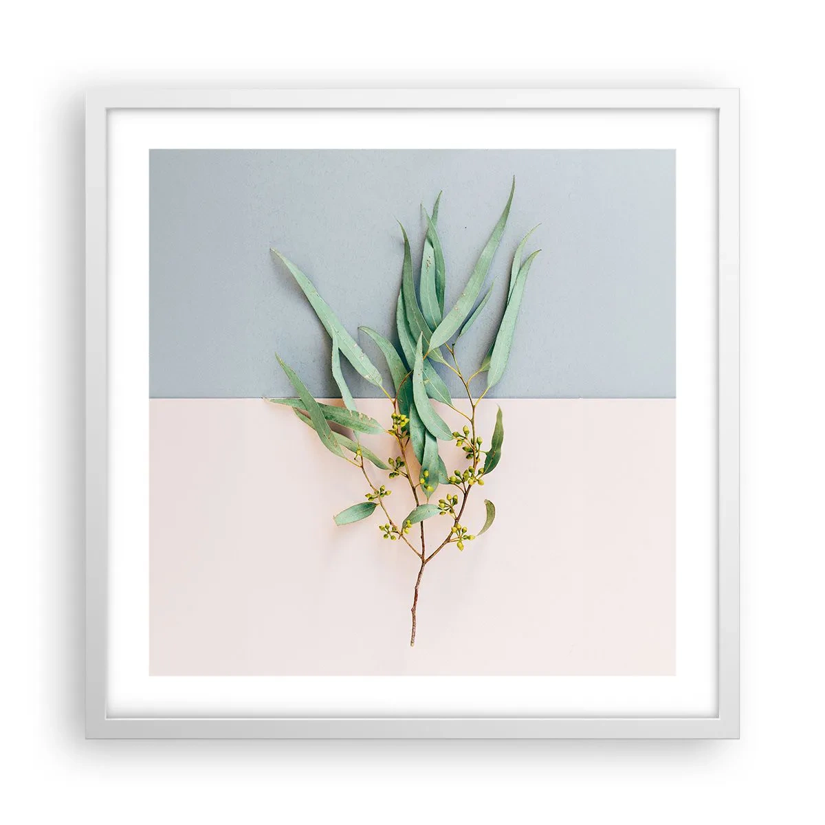 Plagát v bielom ráme - Pastelová jemnosť - 50x50 cm