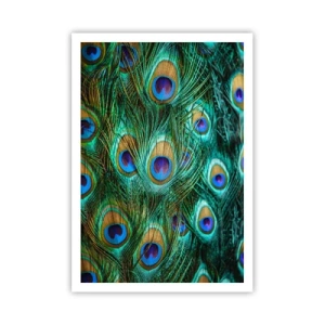 Plagát - Páví pohľad - 70x100 cm