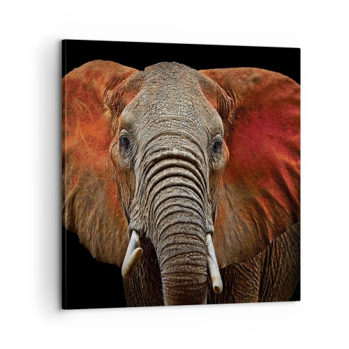 Obraz na plátne - Som divoký, a ty? - 60x60 cm