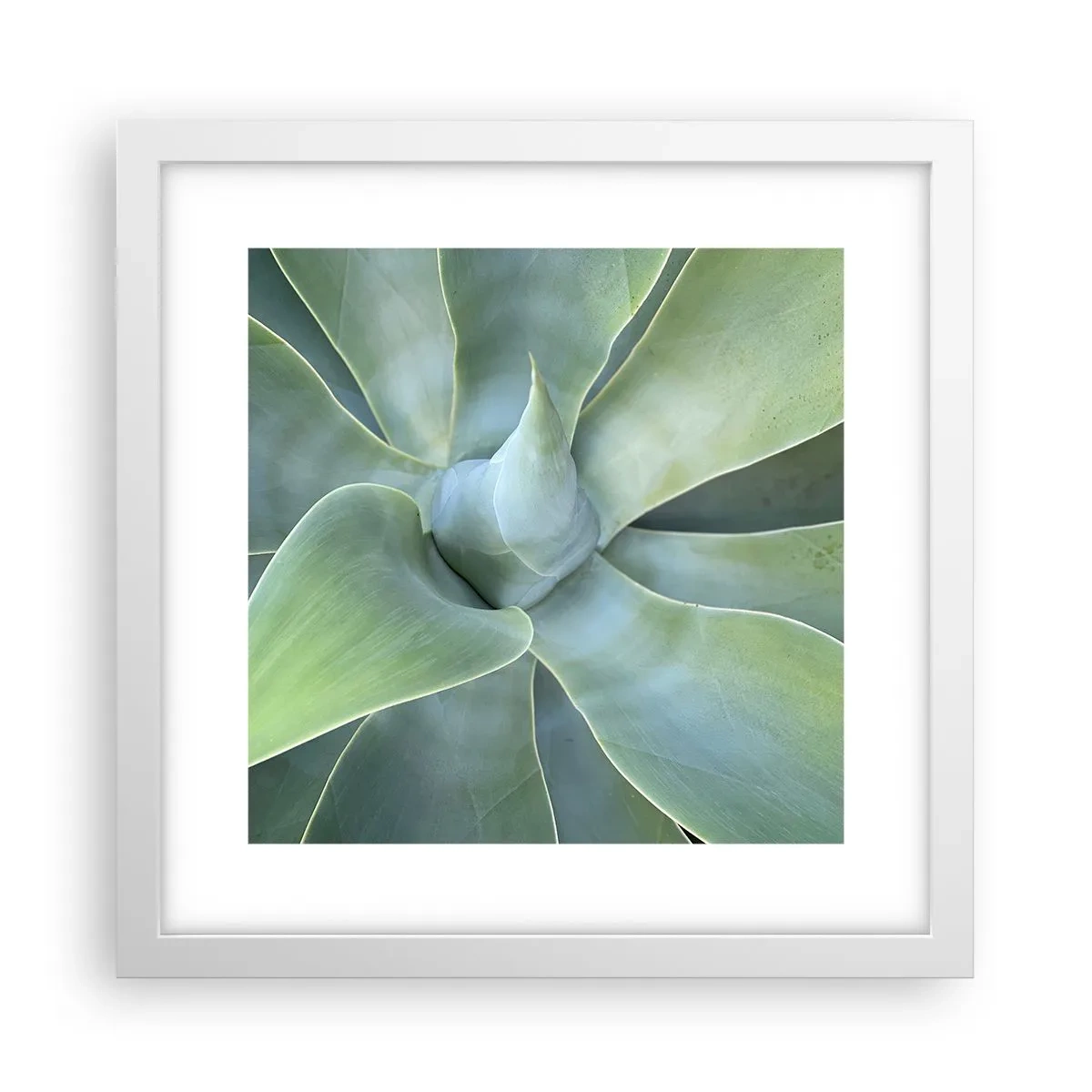 Plagát v bielom ráme - Zrodenie zelene - 30x30 cm