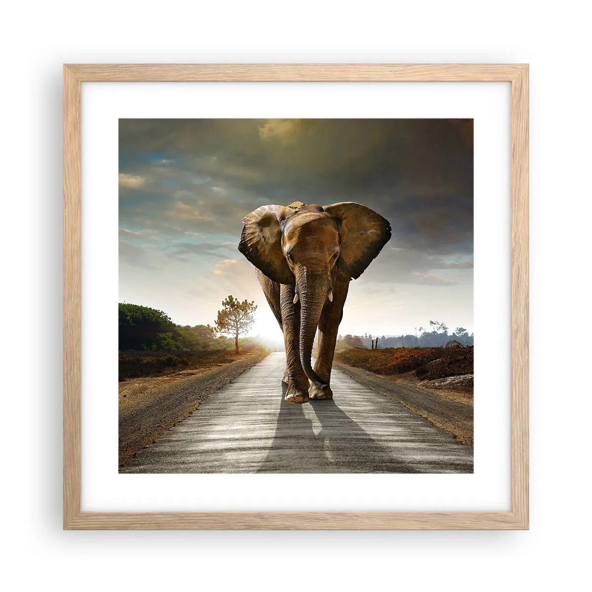 Plagát v ráme zo svetlého duba - A vôbec nie v sklade porcelánu - 40x40 cm