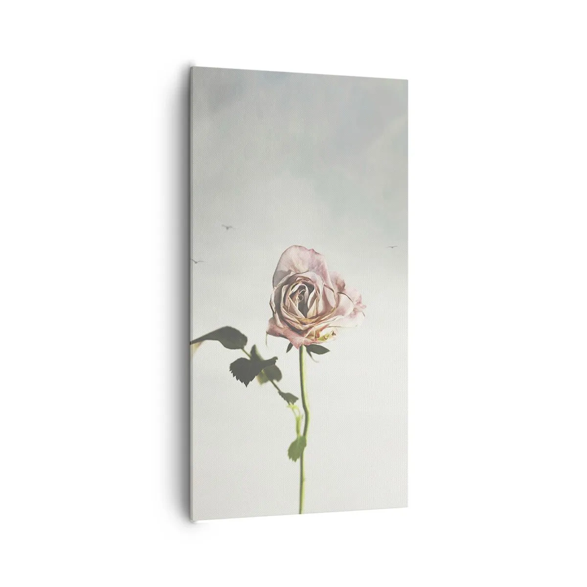 Obraz na plátne - Vítanie jari - 65x120 cm