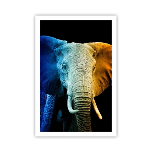 Plagát - Excentrický muž, avšak nie podivín - 61x91 cm