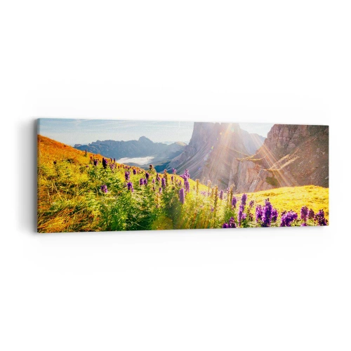 Obraz na plátne - Tajomný život bylín - 90x30 cm