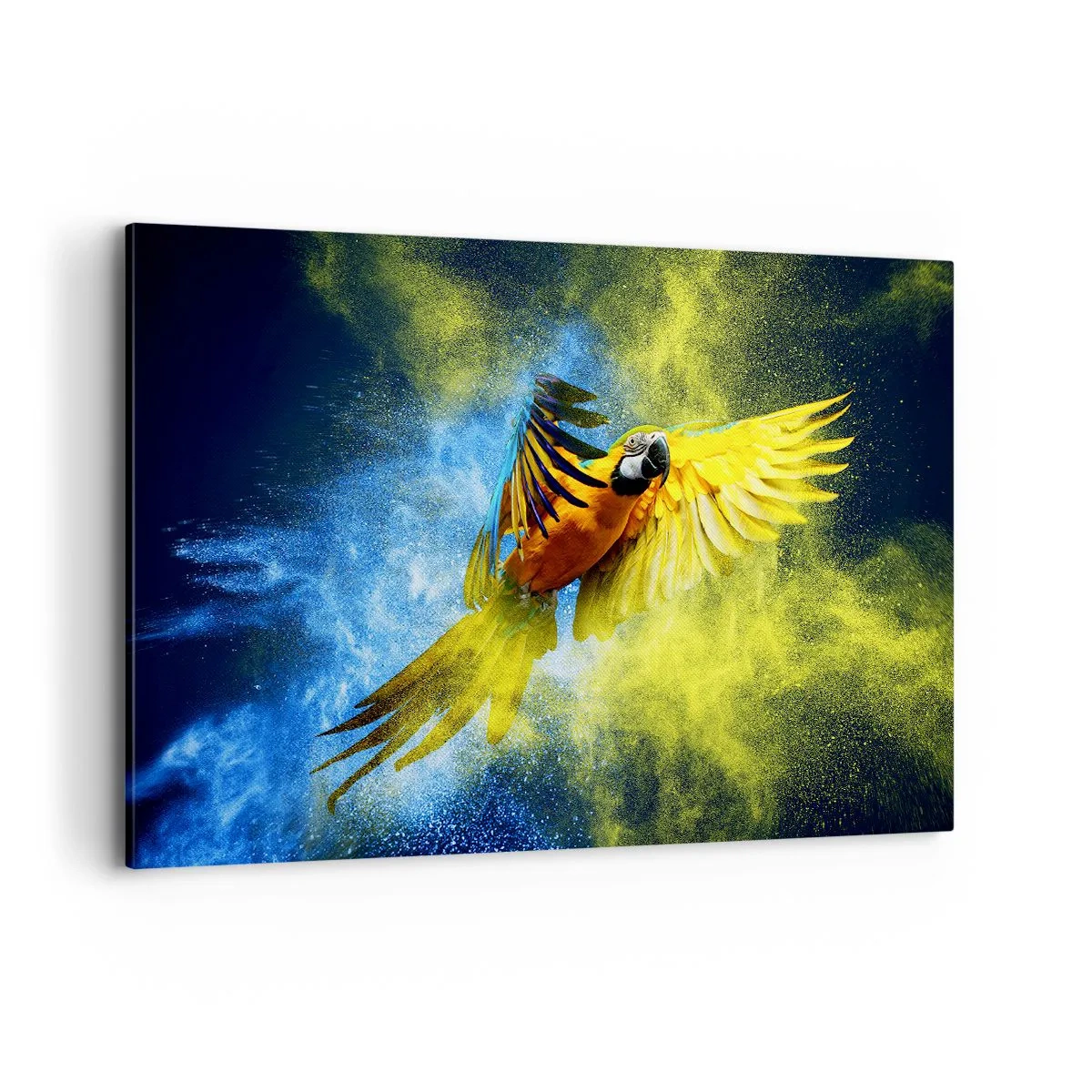 Obraz na plátne - V modro-zlatom prachu - 120x80 cm