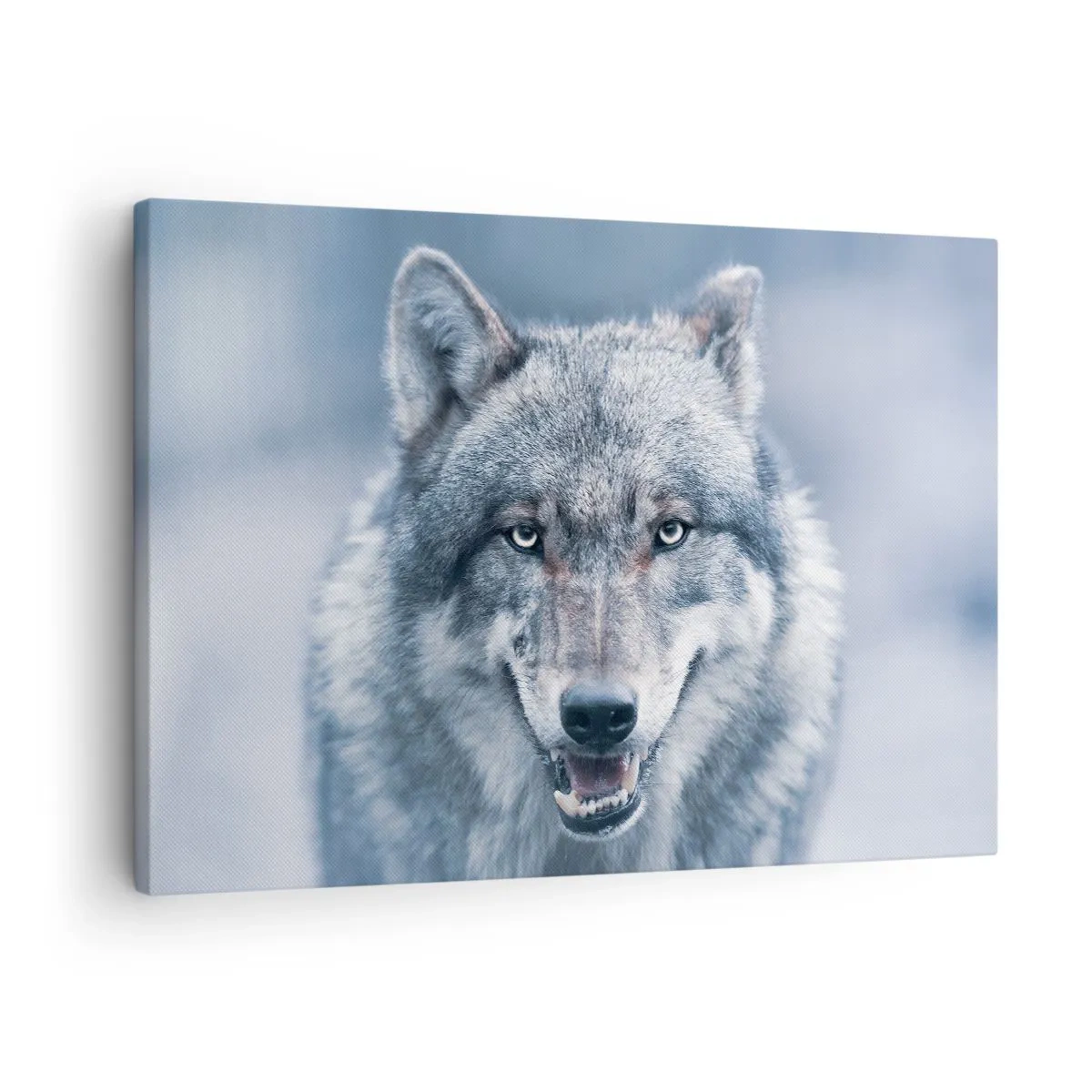 Obraz na plátne - Vlk s intenzívnym pohľadom v zimnej krajine - 70x50cm - Prijmete túto výzvu? - Moderná nástenná dekorácia do obývacej izby a spálne ARTTOR