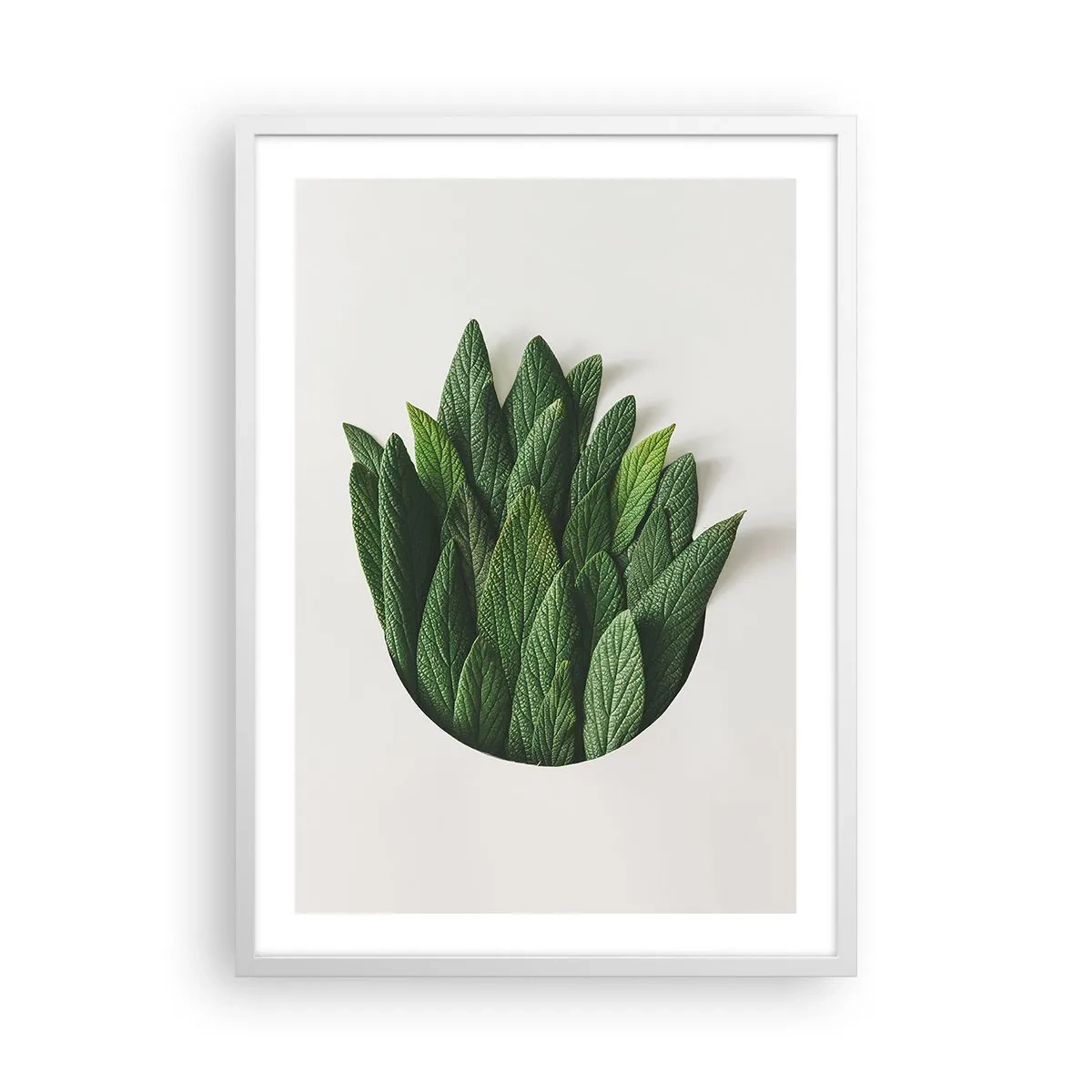 Plagát v bielom ráme - Neukojiteľná zvedavosť - 50x70 cm