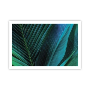 Plagát - Anatómia zelene - 91x61 cm