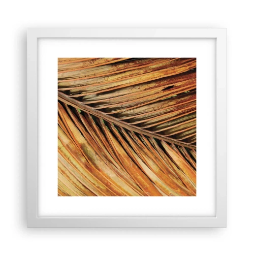 Plagát v bielom ráme - Kokosové zlato - 30x30 cm
