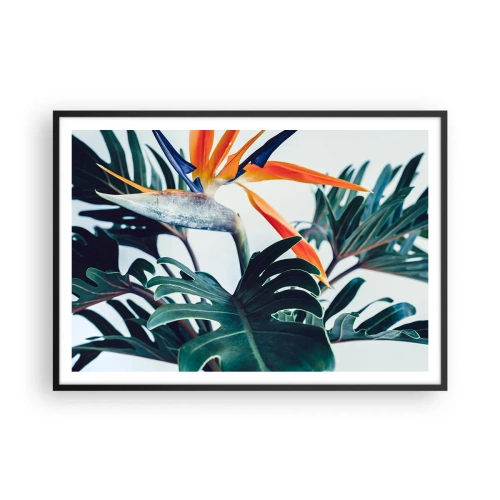 Plagát v čiernom ráme - Vtáker - 100x70 cm