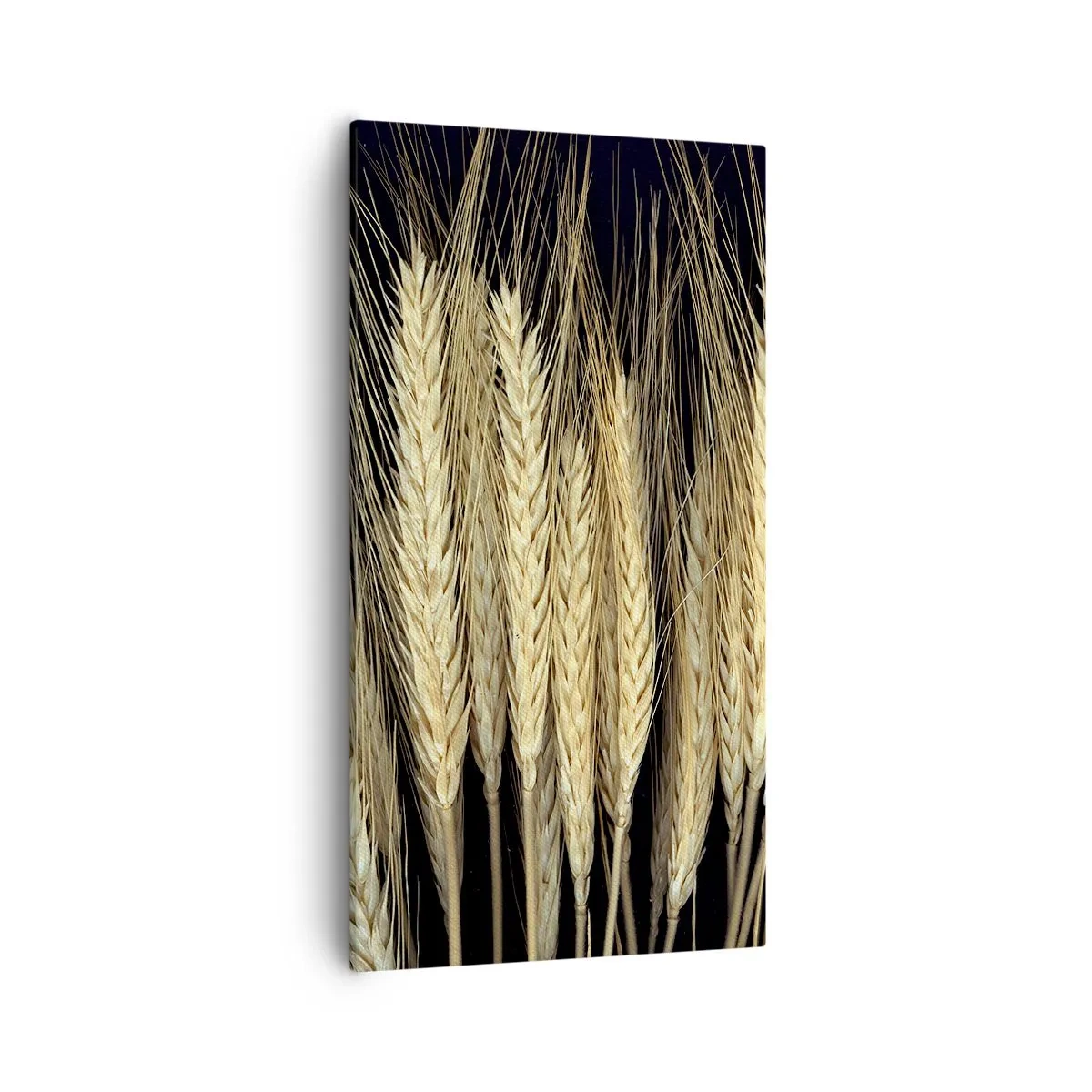 Obraz na plátne - Rustikálna mágia - 55x100 cm