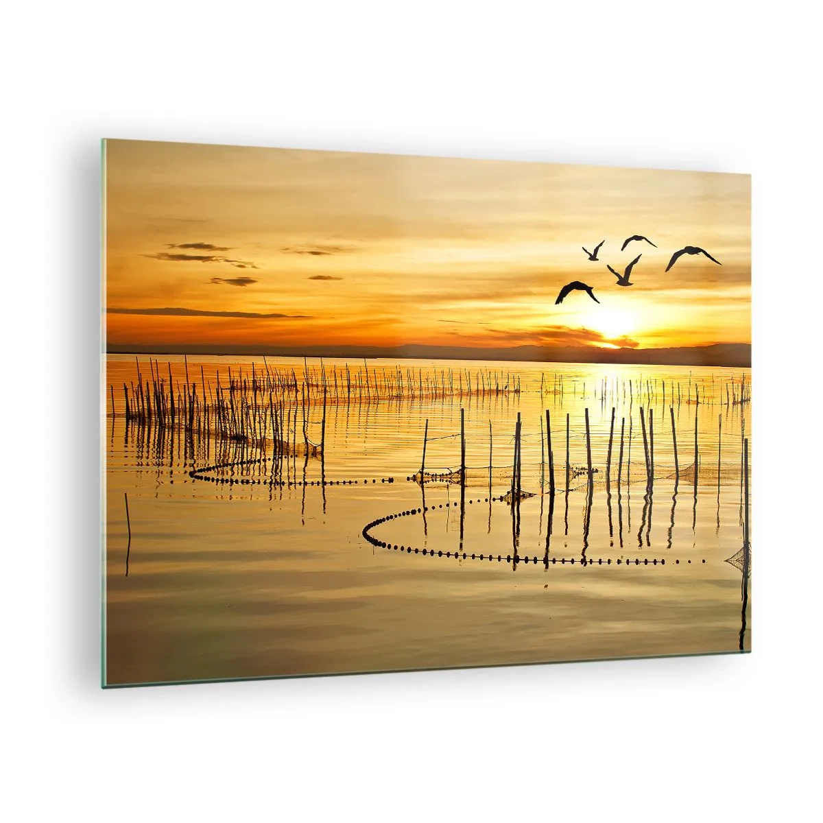 Obraz na skle - Západ slnka nad jazerom s vtákmi a rybárskymi sieťami - 70x50cm - Na rybolove - Moderná nástenná dekorácia do obývacej izby a spálne ARTTOR