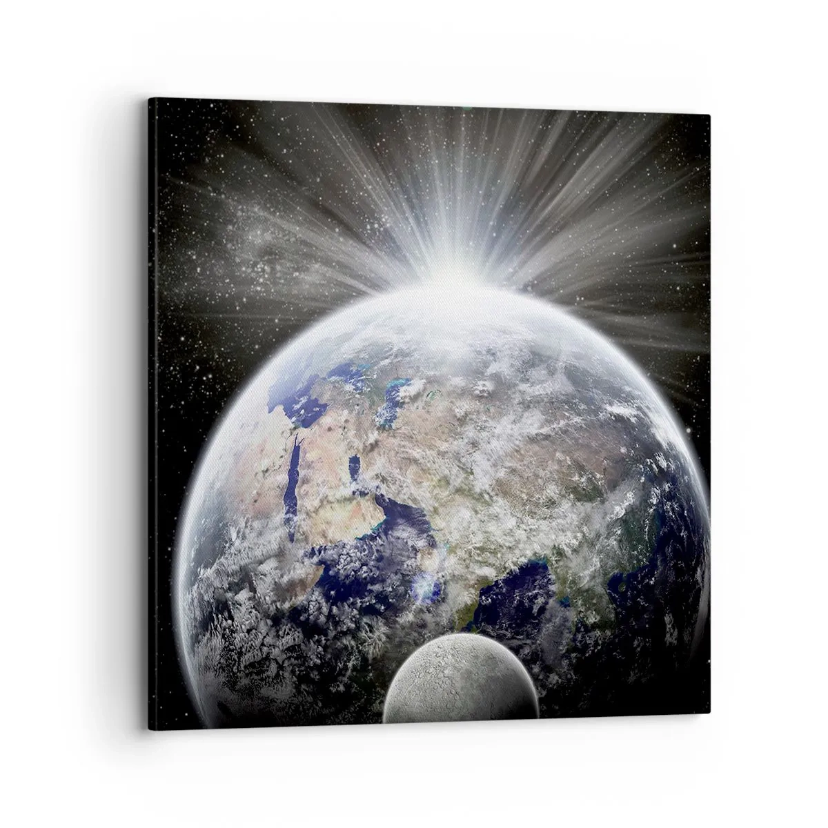 Obraz na plátne - V plnom lesku - 70x70 cm