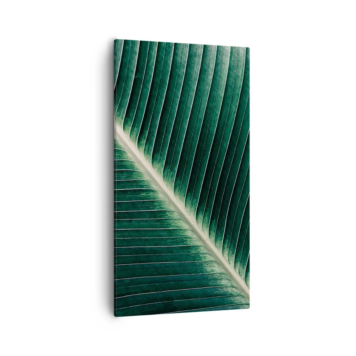Obraz na plátne - Rytmus prírody - 55x100 cm