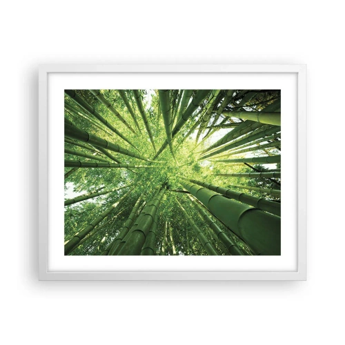Plagát v bielom ráme - V bambusovom háji - 50x40 cm