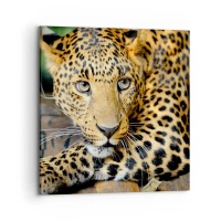 70x70 cm | Štvorcový