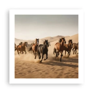 Plagát - Voľné ako vietor - 50x50 cm