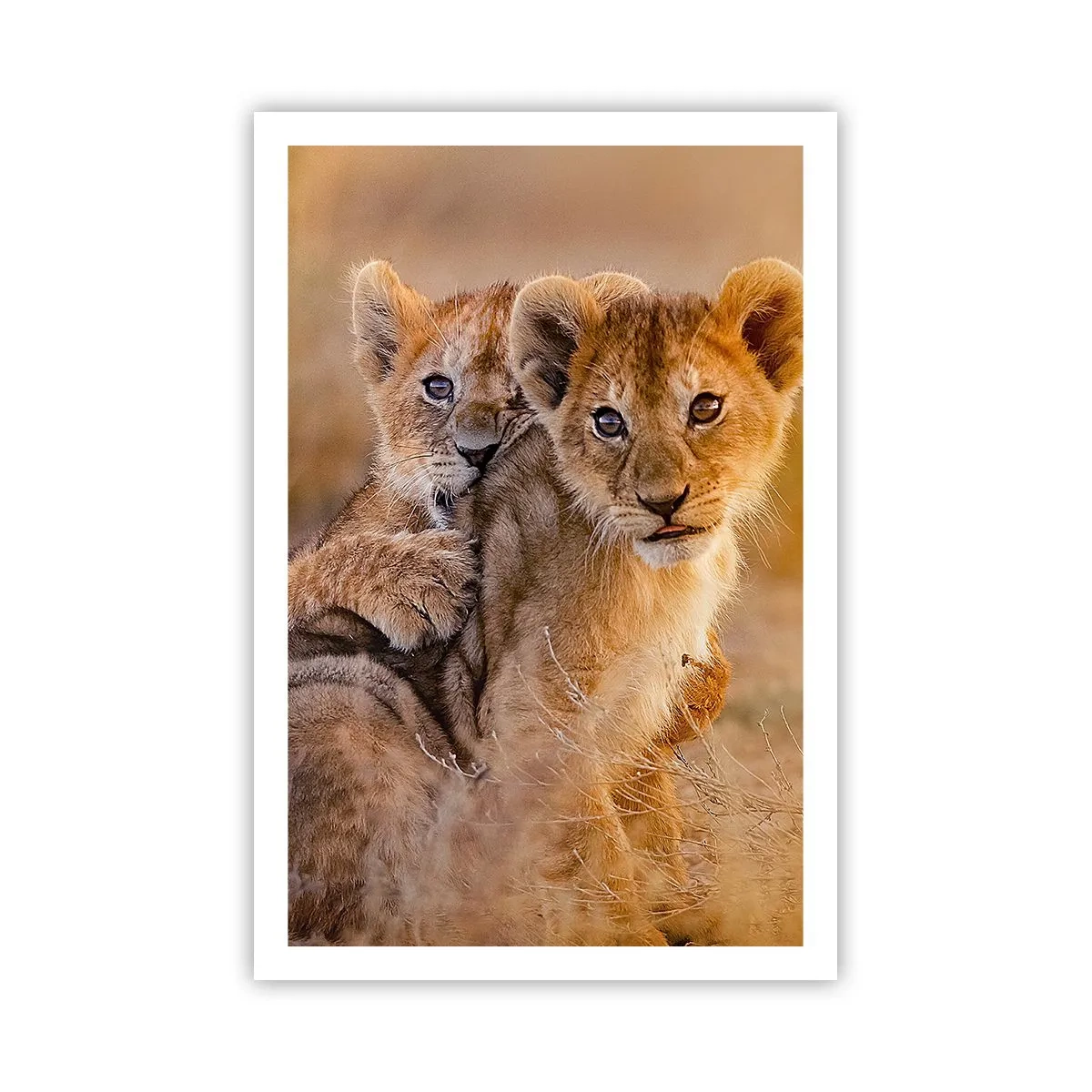 Plagát - Nevyrušovať! Hrajme sa - 61x91 cm