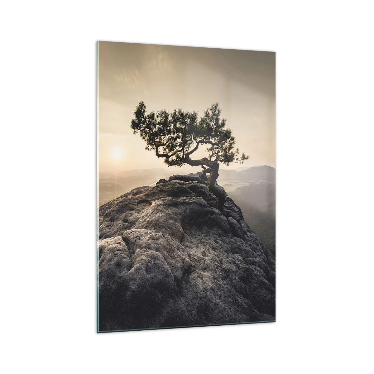 Obraz na skle - Život vždy víťazí - 70x100 cm