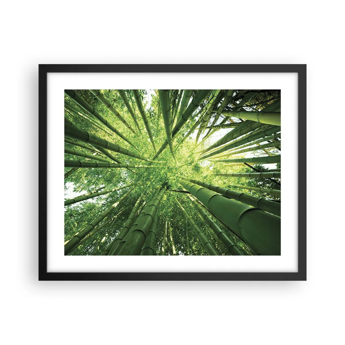 Plagát v čiernom ráme - V bambusovom háji - 50x40 cm