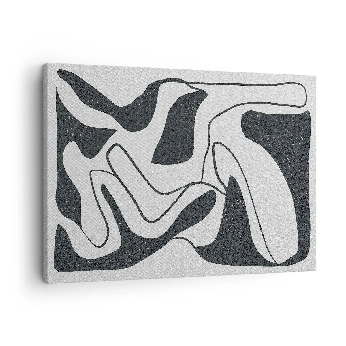 Obraz na plátne - Čiernobiela abstrakcia s organickými tvarmi - 70x50cm - Abstraktná hra v labyrinte - Moderná nástenná dekorácia do obývacej izby a spálne ARTTOR