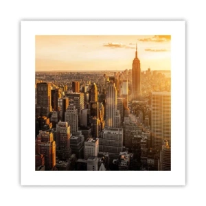 Plagát - Rast na slnku - 40x40 cm