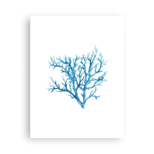 Plagát - Morský filigrán - 30x40 cm