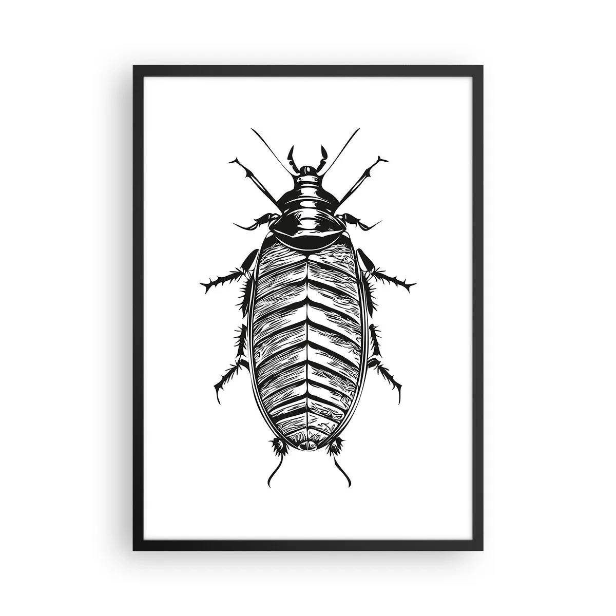 Plagát v čiernom ráme - Čiernobiela ilustrácia hmyzu v maloobchodnom štýle - 50x70cm - Vzorový exemplár! - Moderná nástenná dekorácia do obývacej izby a spálne ARTTOR