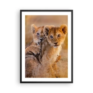 Plagát v čiernom ráme - Levíčatá v africkej savane - 50x70cm - Nevyrušovať! Hrajme sa - Moderná nástenná dekorácia do obývacej izby a spálne ARTTOR
