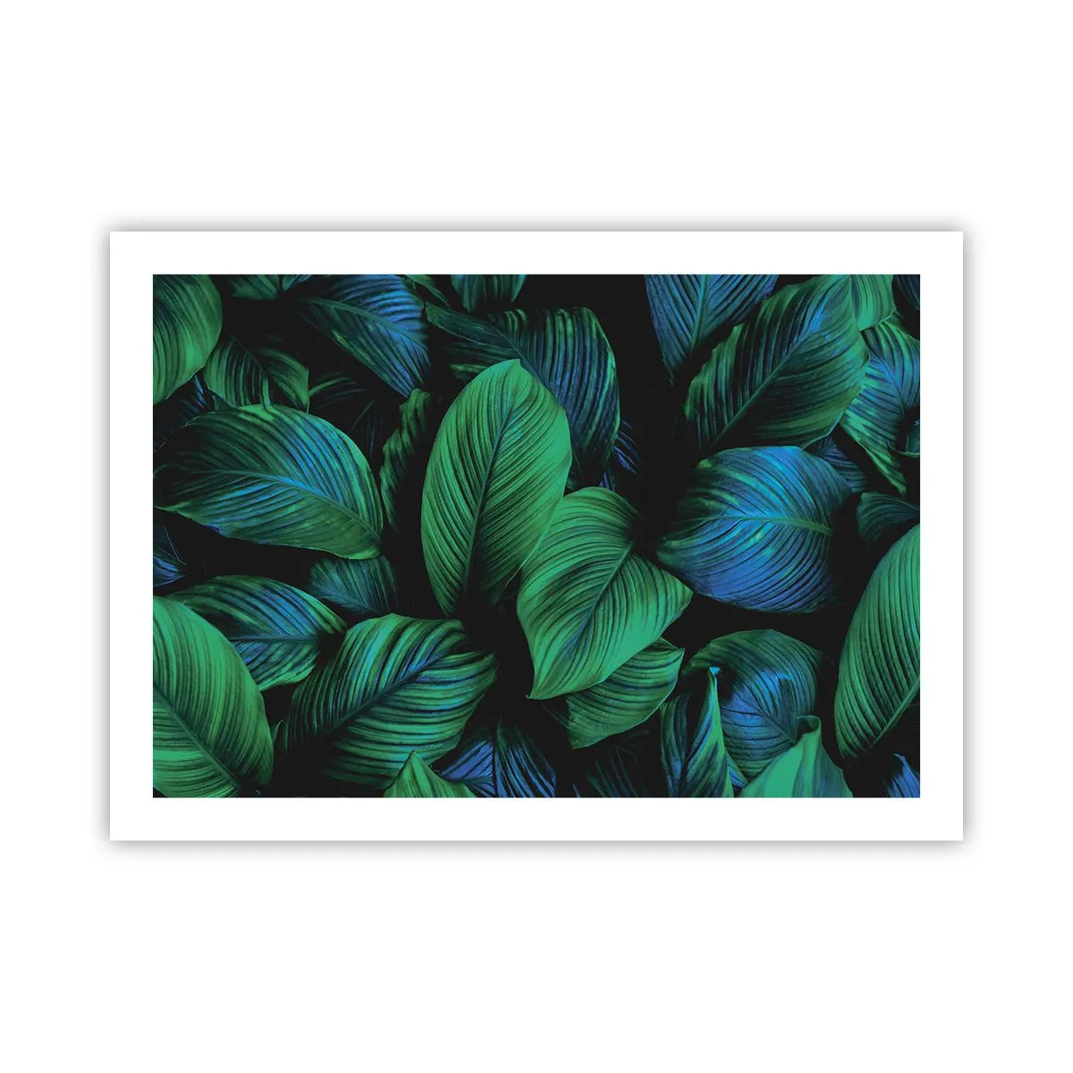 Plagát - V zelenom dave - 70x50 cm