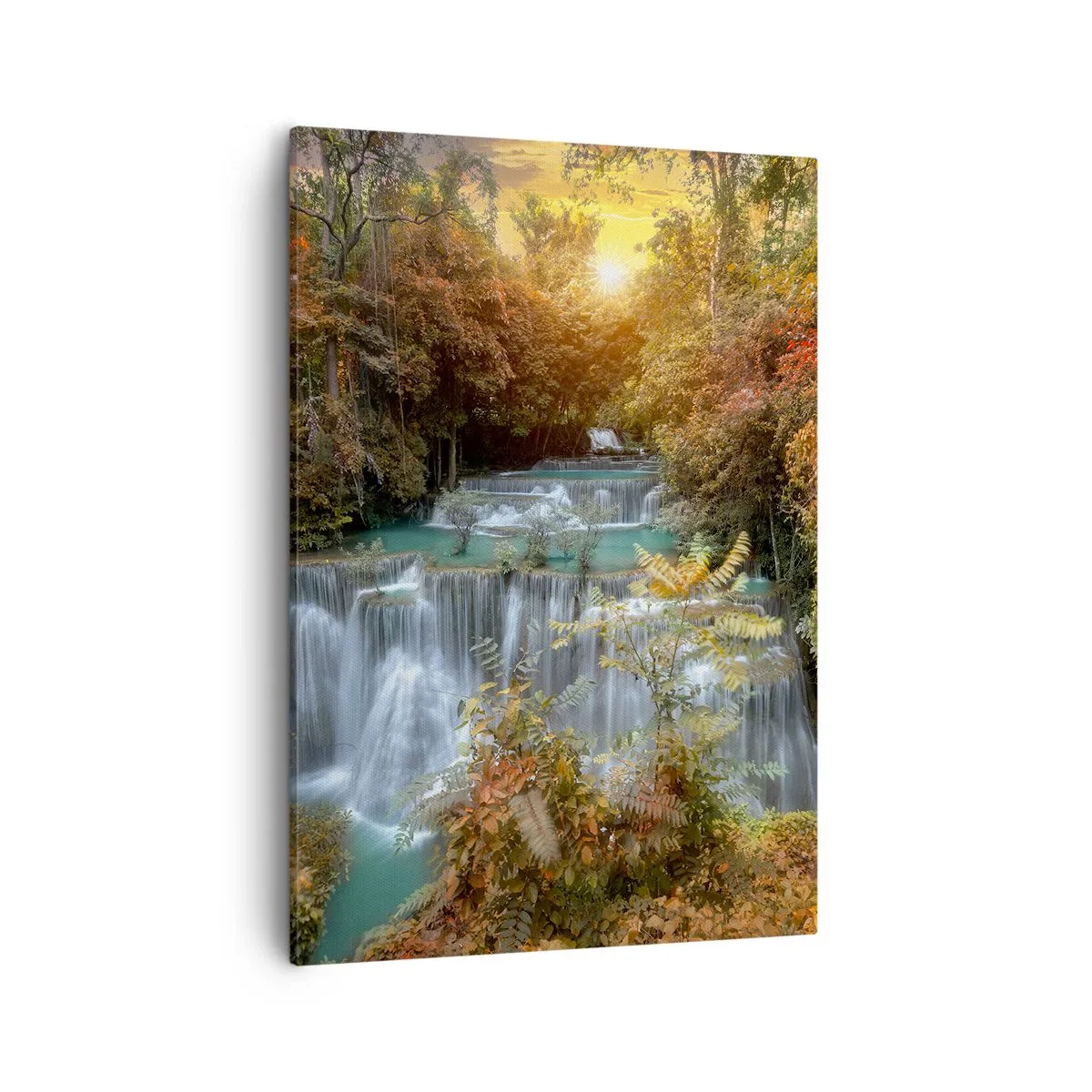 Obraz na plátne - Ukrytý poklad lesa - 50x70 cm