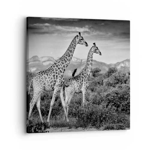 Obraz na plátne - Vyššie kruhy v Afrike - 30x30 cm