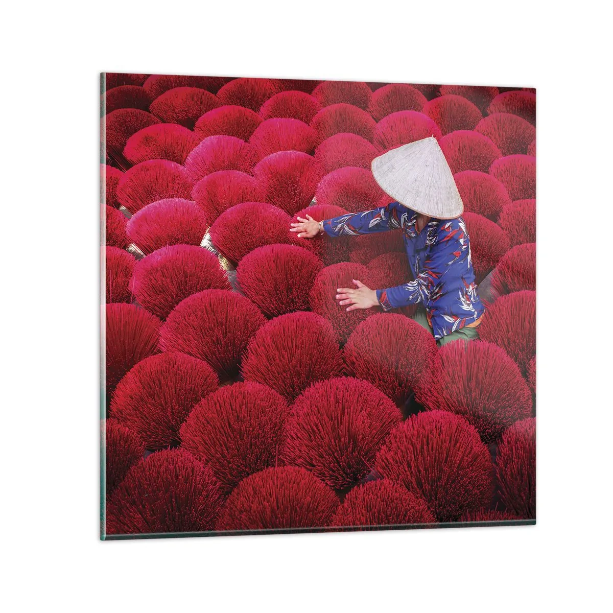 Obraz na skle - Na ryžovom poli - 70x70 cm