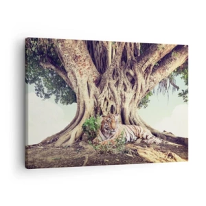 Obraz na plátne - Tiger odpočíva pod rozľahlým stromom - 70x50cm - Pohľad z knihy Mojžišovej - Moderná nástenná dekorácia do obývacej izby a spálne ARTTOR