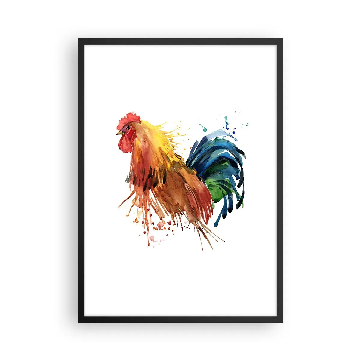 Plagát v čiernom ráme - Farebný kohút v akvarelovom štýle - 50x70cm - Kráľovský šat, kráľovská pýcha - Moderná nástenná dekorácia do obývacej izby a spálne ARTTOR