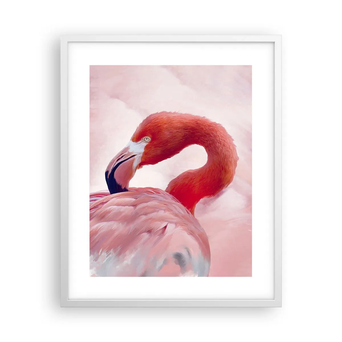 Plagát v bielom ráme - Vtáčia krása - 40x50 cm