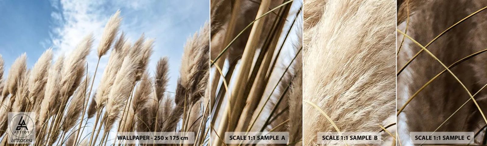 Vzorka samolepiacej fototapety Deluxe Sticker - Slnečné a veterné pohladenie - Pampasová tráva, Príroda, Boho - 100x30 cm