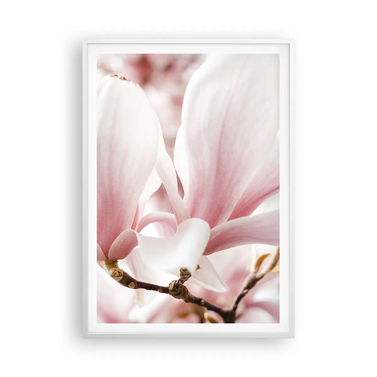 Plagát v bielom ráme - Nesmiernosť nežnosti - 70x100 cm