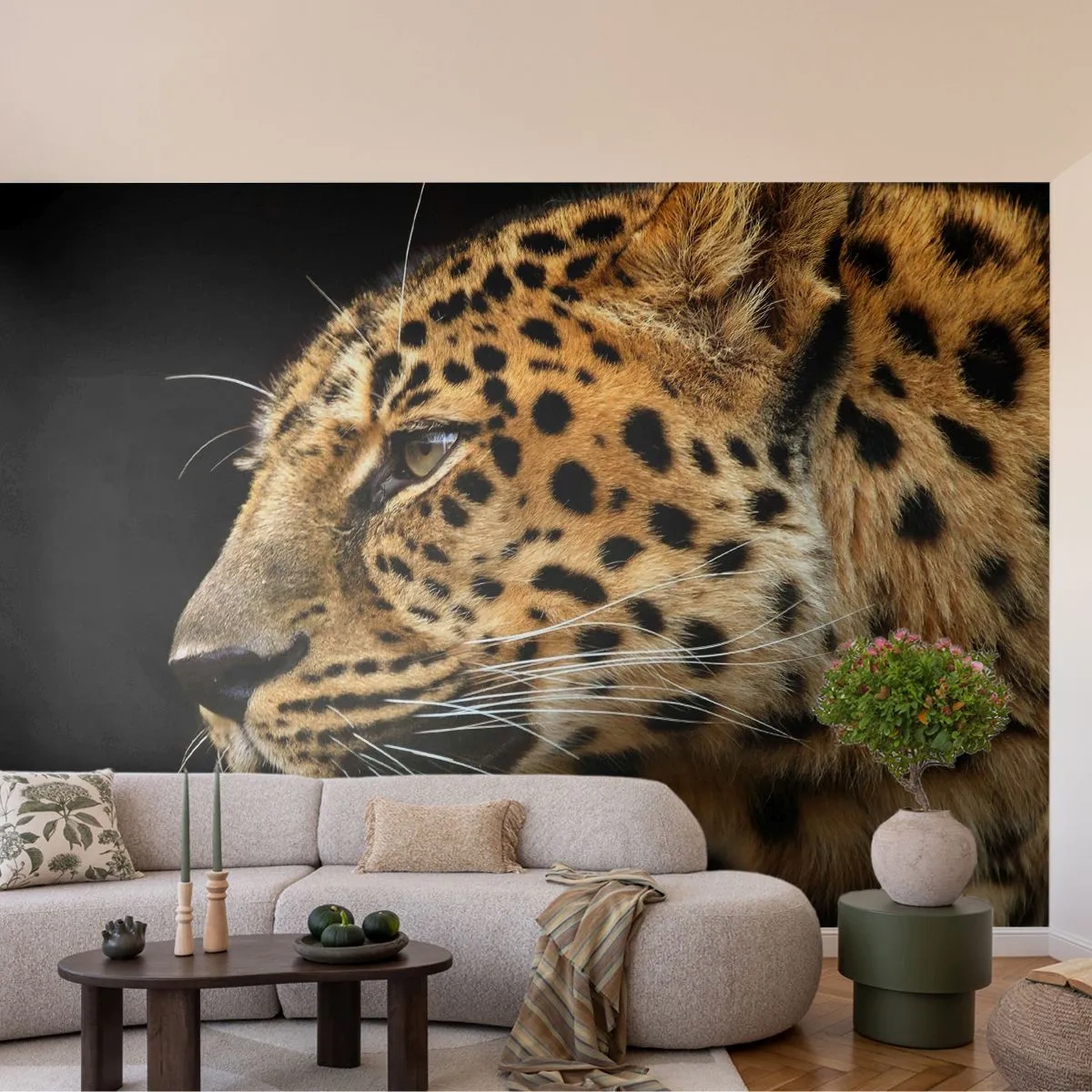 Fototapeta Premium Sand - Pokojný, sústredený, pripravený - Zvieratá, leopard, Afriky - 400x280 cm
