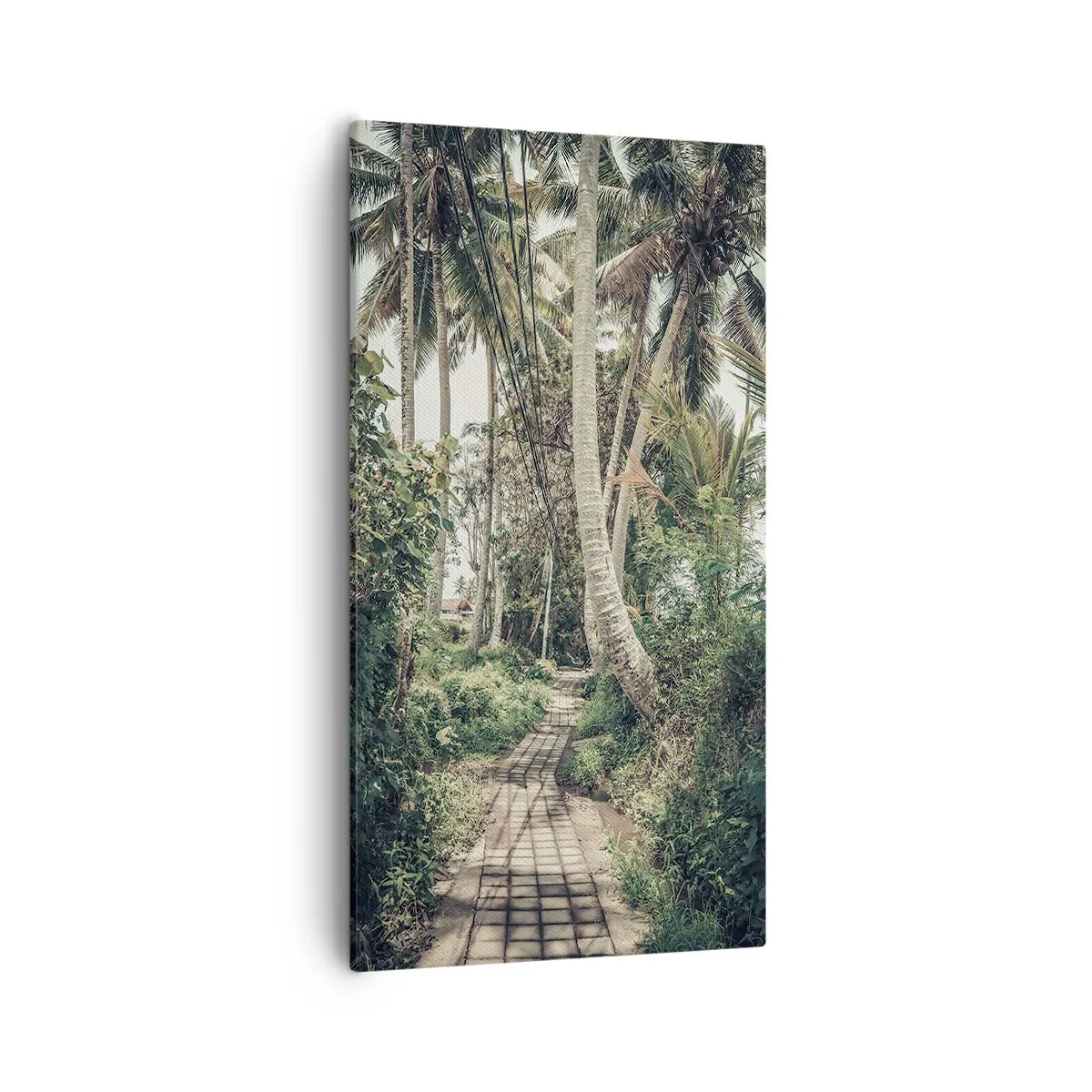 Obraz na plátne - Palmový bulvár - 55x100 cm