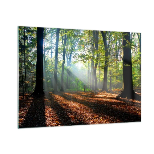Obraz na skle - Svetlá a tiene - 100x70 cm