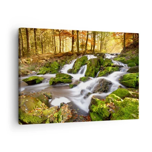 Obraz na plátne - Zalesnená krajina s vodopádom obklopeným machom - 70x50cm - Chvatom jesenným lesom - Moderná nástenná dekorácia do obývacej izby a spálne ARTTOR