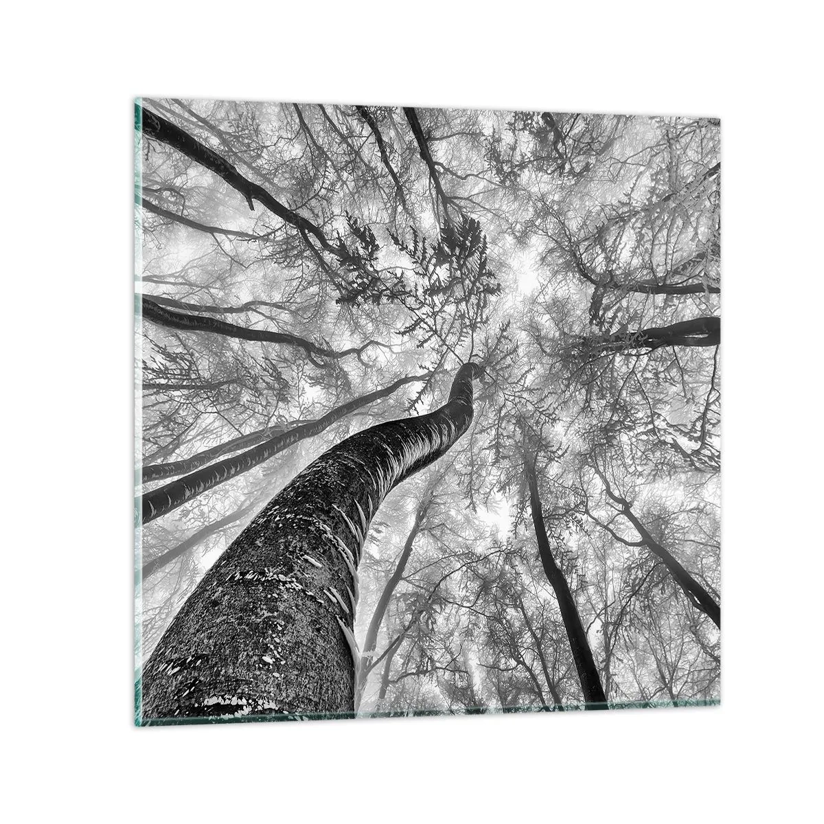 Obraz na skle - Závod ku svetlu - 60x60 cm