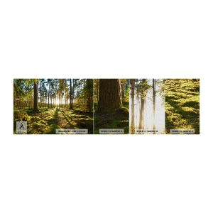 Vzorka fototapety Premium Sand - …Za siedmimi lesmi - Krajina, les, Príroda - 100x30 cm