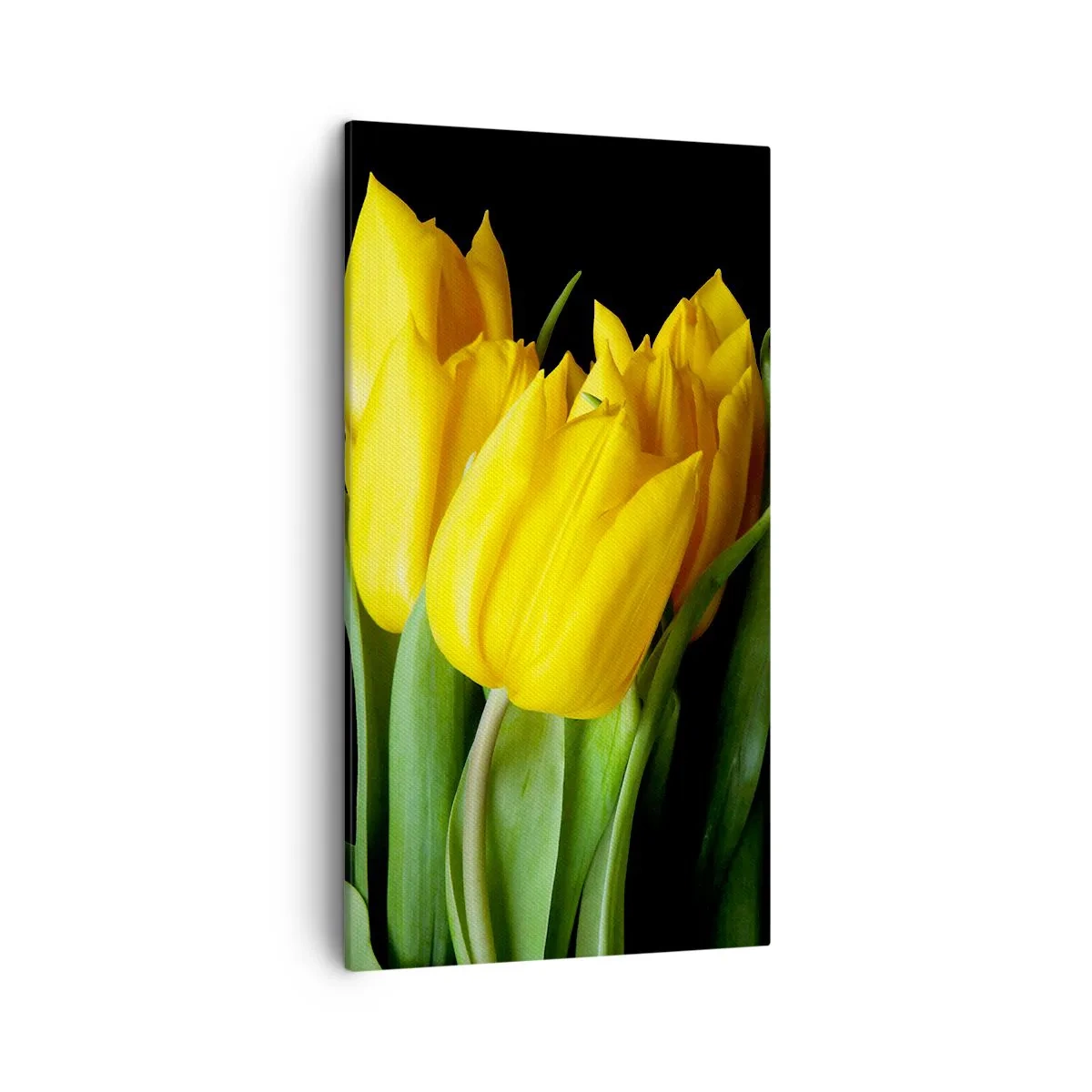 Obraz na plátne - Vznikli z čistého slnka - 45x80 cm