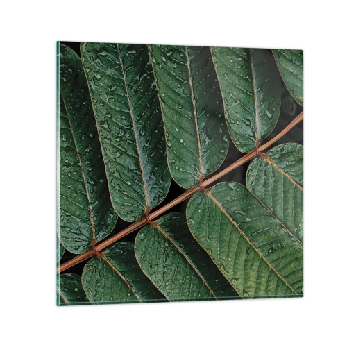 Obraz na skle - V zelenom rytme - 40x40 cm