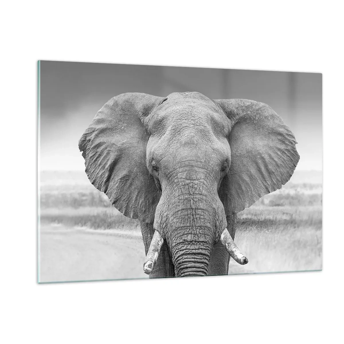 Obraz na skle - Vitajte v mojom svete - 120x80 cm